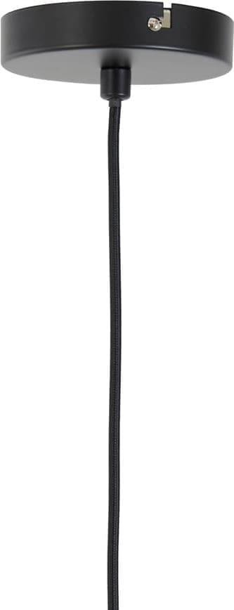 Hanglamp Plumeria - Zwart Light & Living Hanglamp 2963512