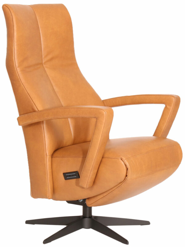 Twinz 205 relaxfauteuil