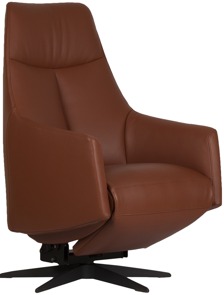Twinz 109 relaxfauteuil