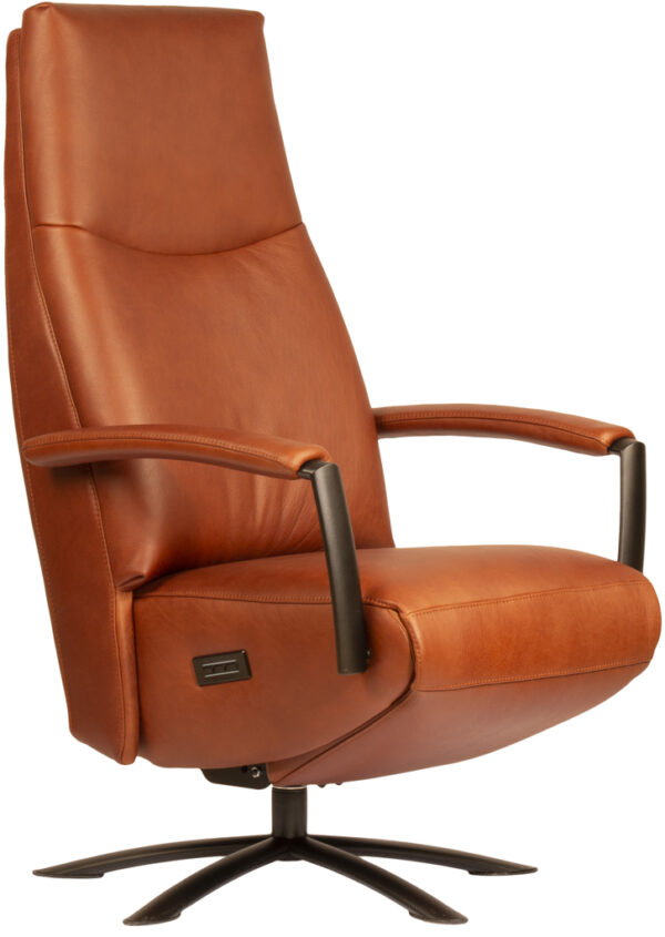 Twinz 703 relaxfauteuil