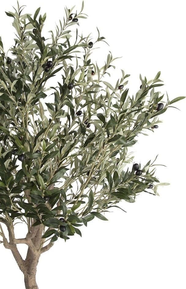COCO maison Olive Tree 180cm kunstplant Groen Kunstbloem