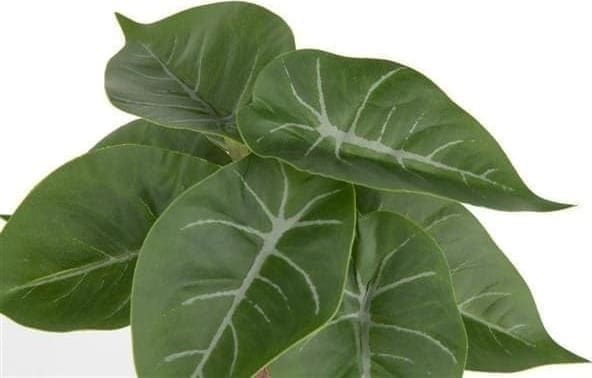 COCO maison Anthurium Mini Bush 13cm kunstbloem Groen Kunstbloem