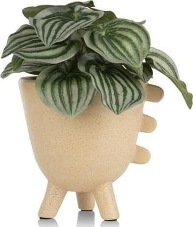 COCO maison Peperomia Bush 25cm kunstbloem Groen Kunstbloem