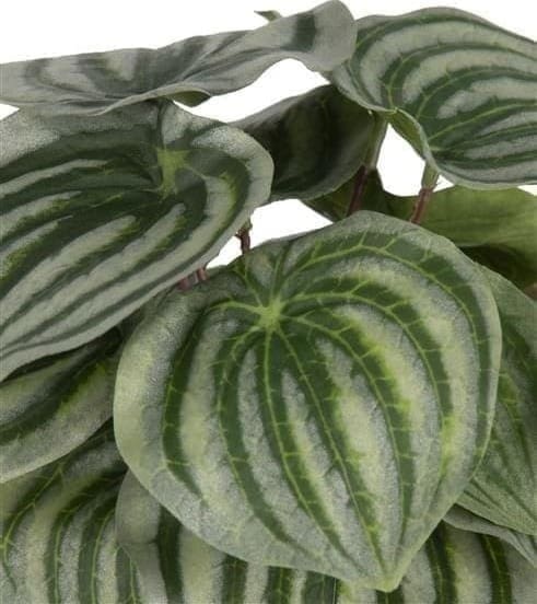 COCO maison Peperomia Bush 25cm kunstbloem Groen Kunstbloem