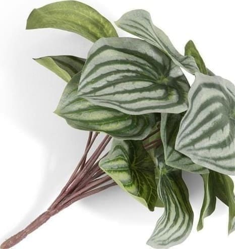 COCO maison Peperomia Bush 25cm kunstbloem Groen Kunstbloem