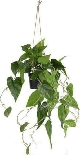 COCO maison Philodendron Scandens 80cm kunstplant Groen Kunstbloem