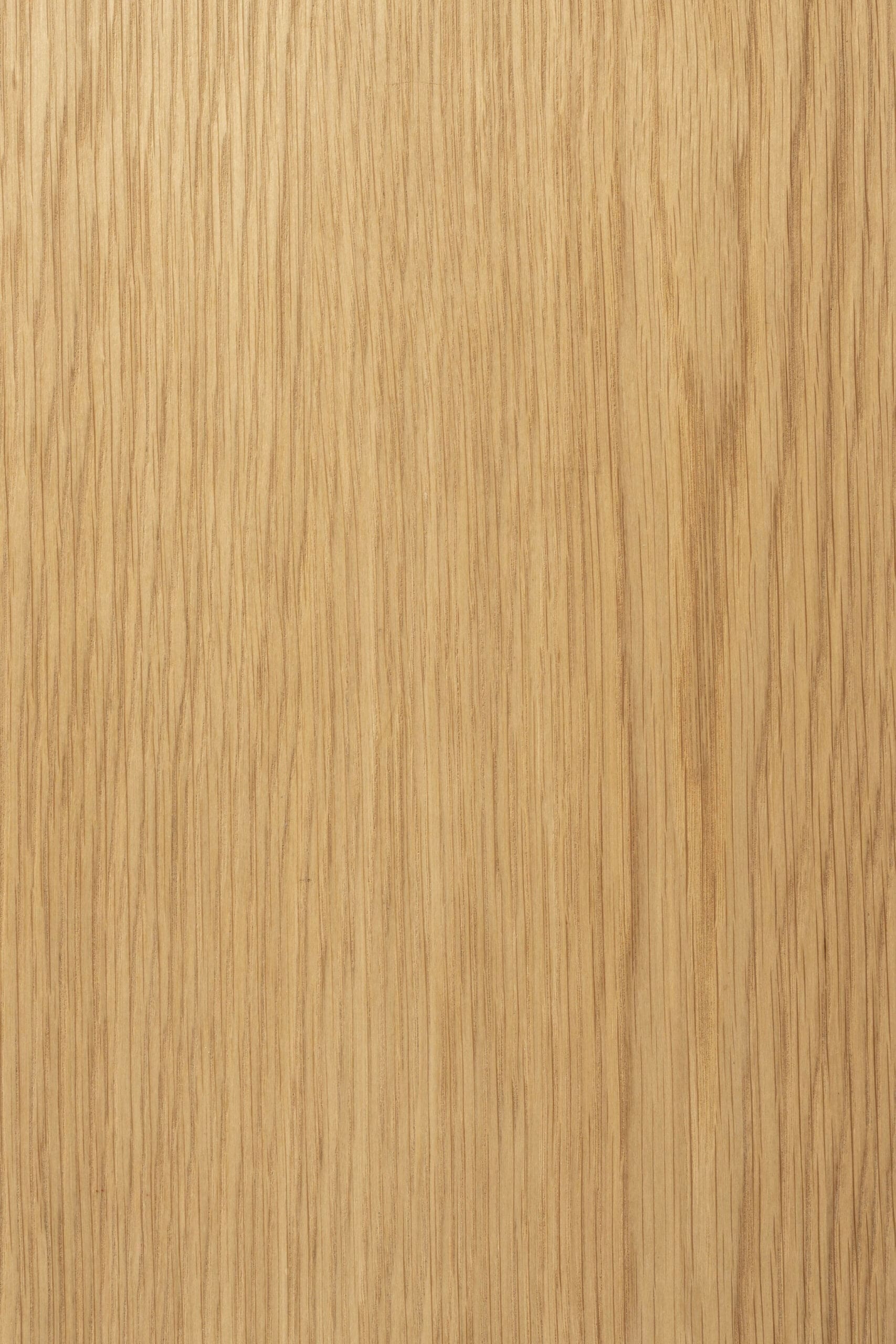 Wandtafel Brave - Afbeelding 6