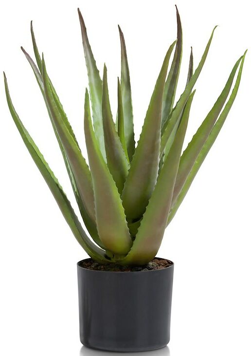 COCO maison Aloe plant H50cm Groen Kunstbloem
