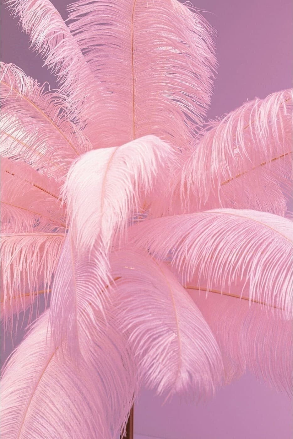 Vloerlamp Feather Palm Pink 165cm Kare Design Vloerlamp 53748