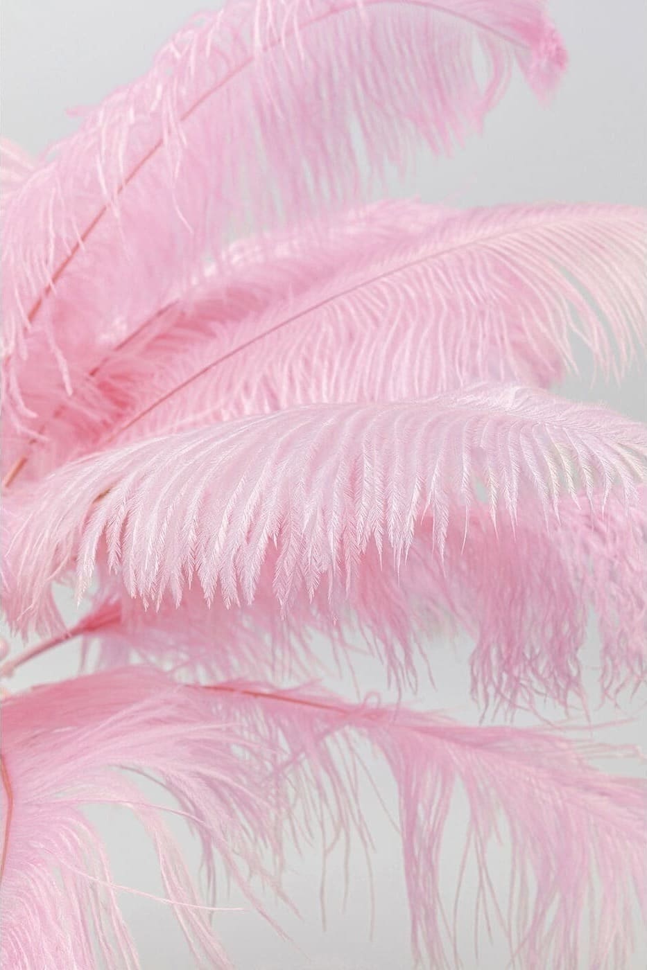 Vloerlamp Feather Palm Pink 165cm Kare Design Vloerlamp 53748