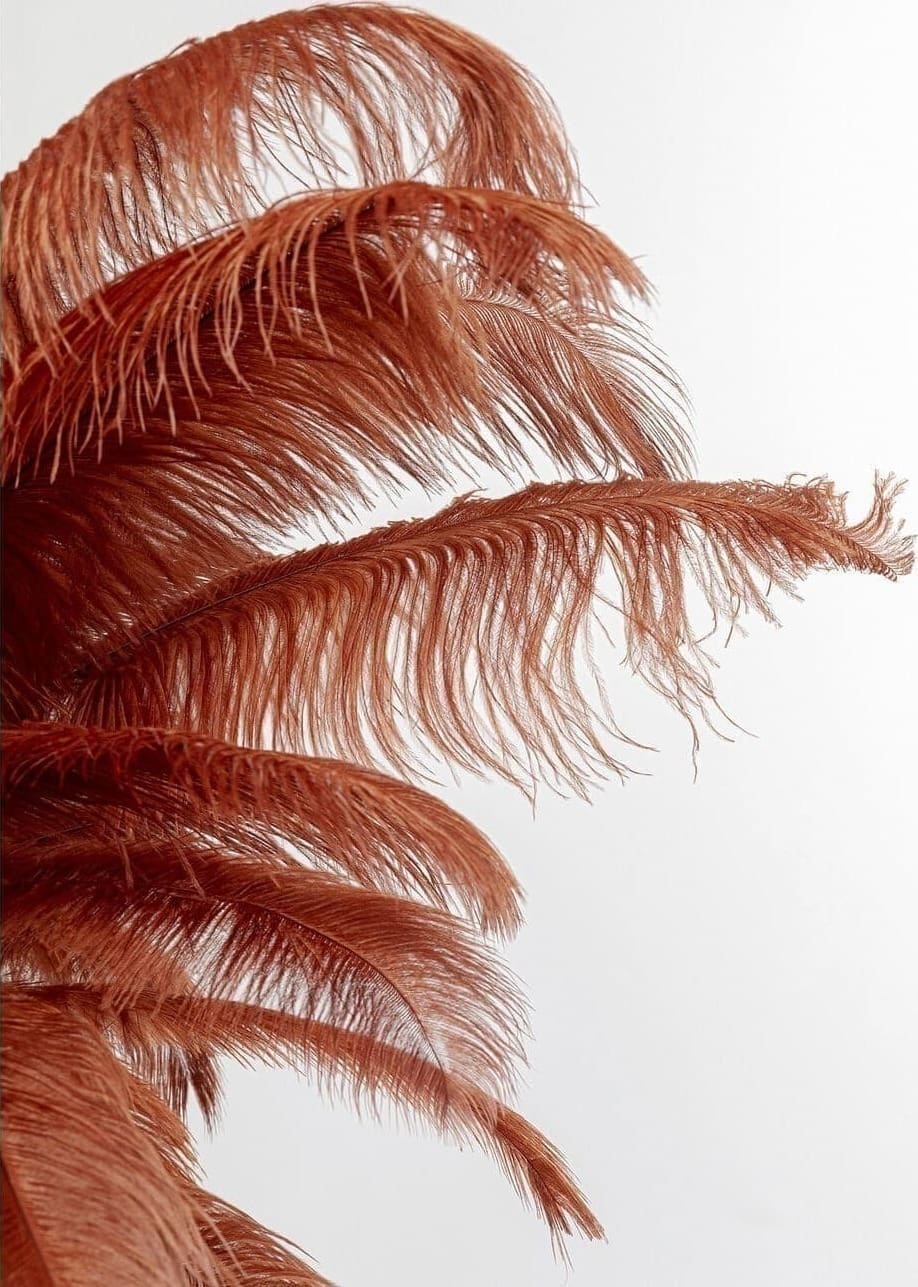Vloerlamp Feather Palm Rusty Red 165cm Kare Design Vloerlamp 54549