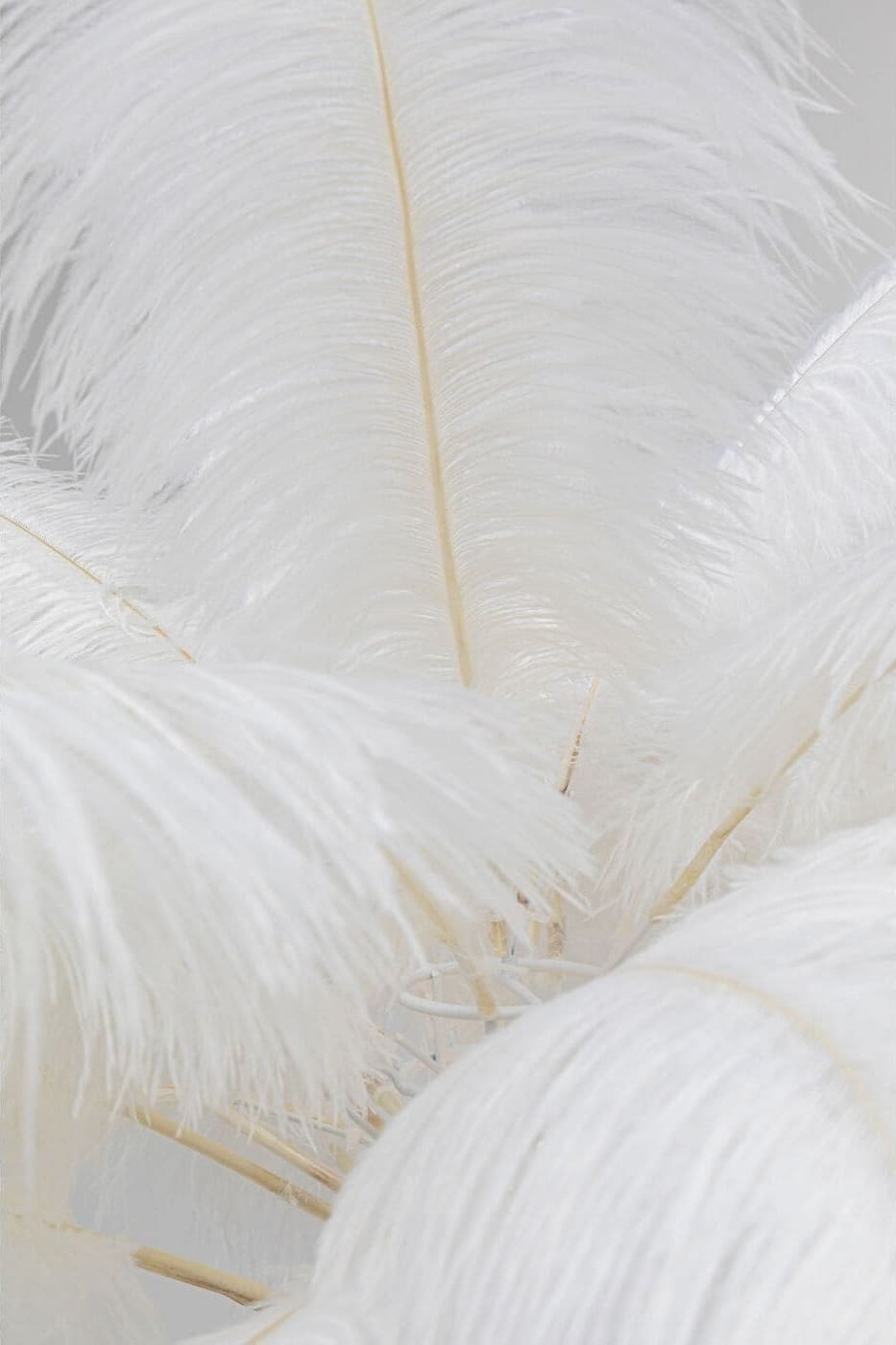 Vloerlamp Feather Palm White 165cm Kare Design Vloerlamp 53750