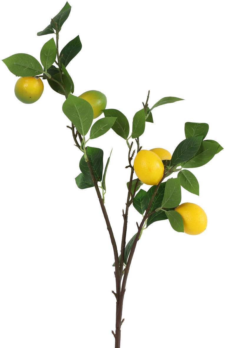 Feelings Wonen meubelen Citrus limon kunsttak Naturel Woonaccessoire