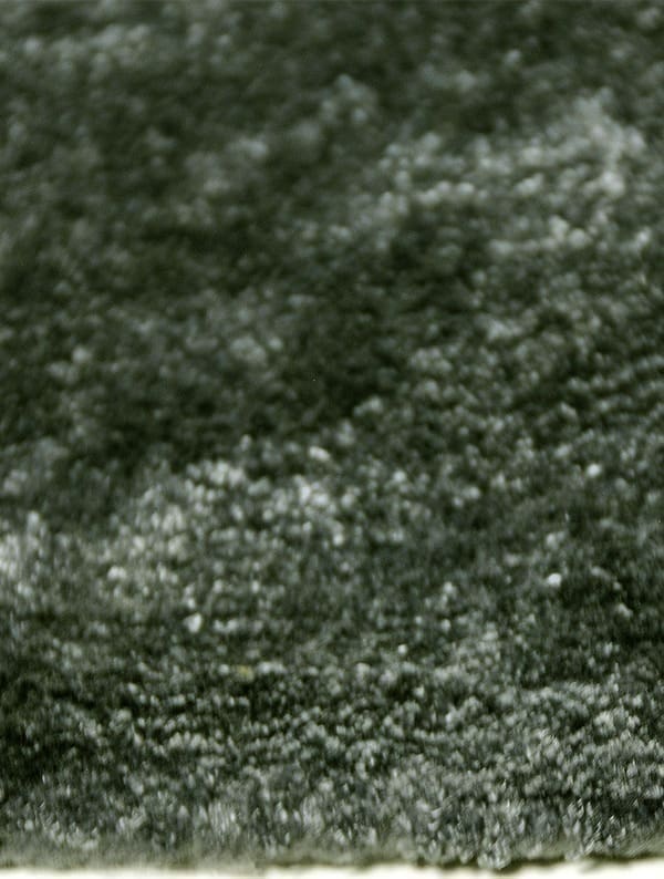 House of Dutchz Karpet Dutchz 1901