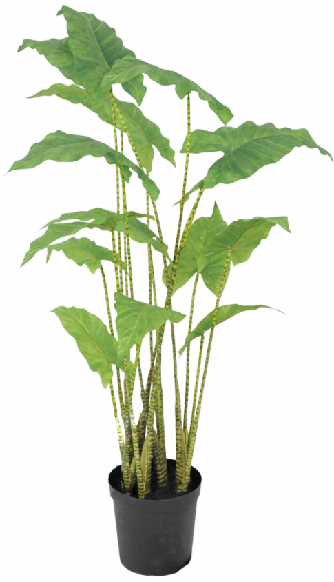 Alocasiagroen - 126cm Silk-ka kunstbloemen en planten Kunstplant Silk-ka-141001