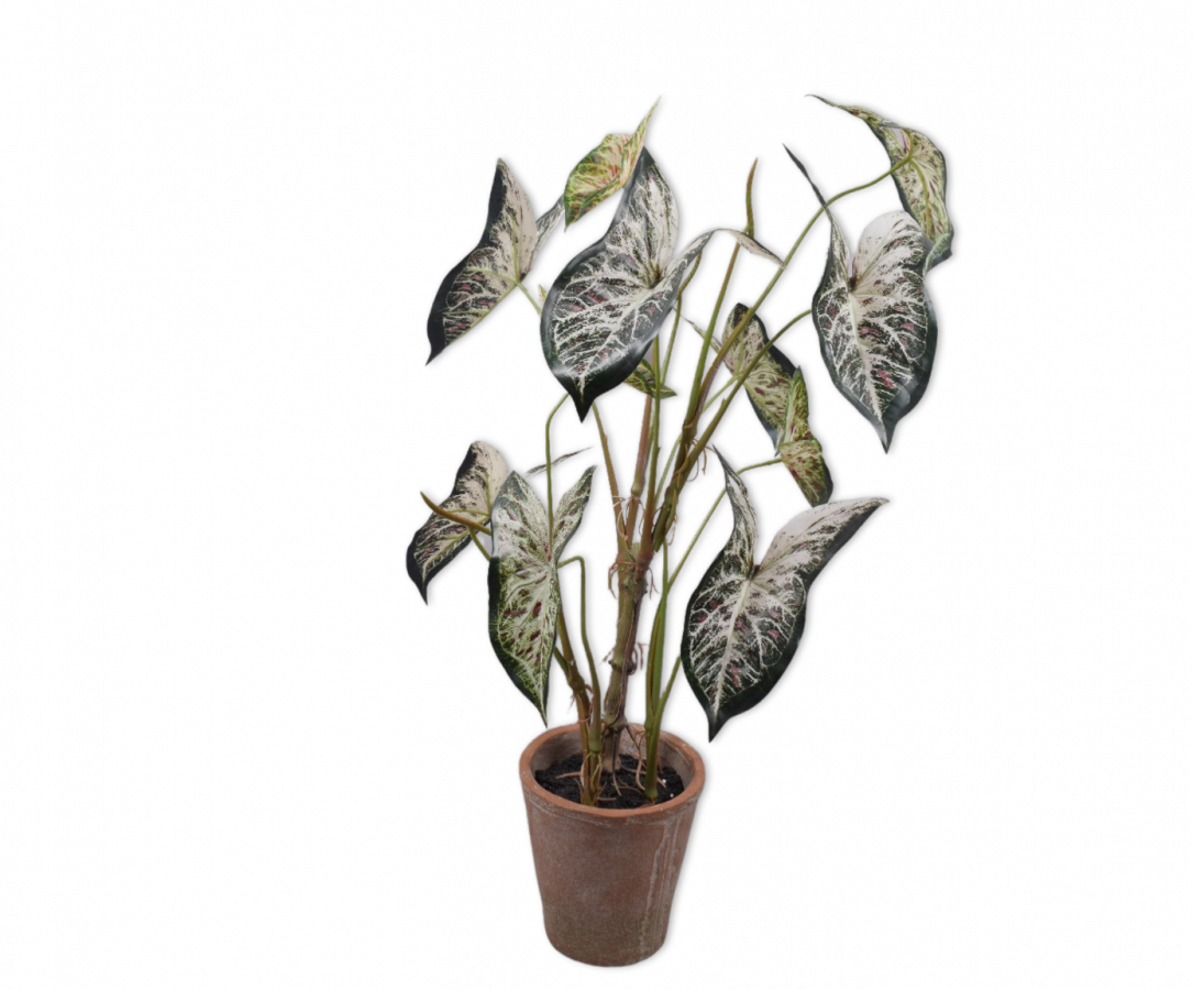 Alocasiagroen - 80cm Silk-ka kunstbloemen en planten Kunstplant Silk-ka-150033