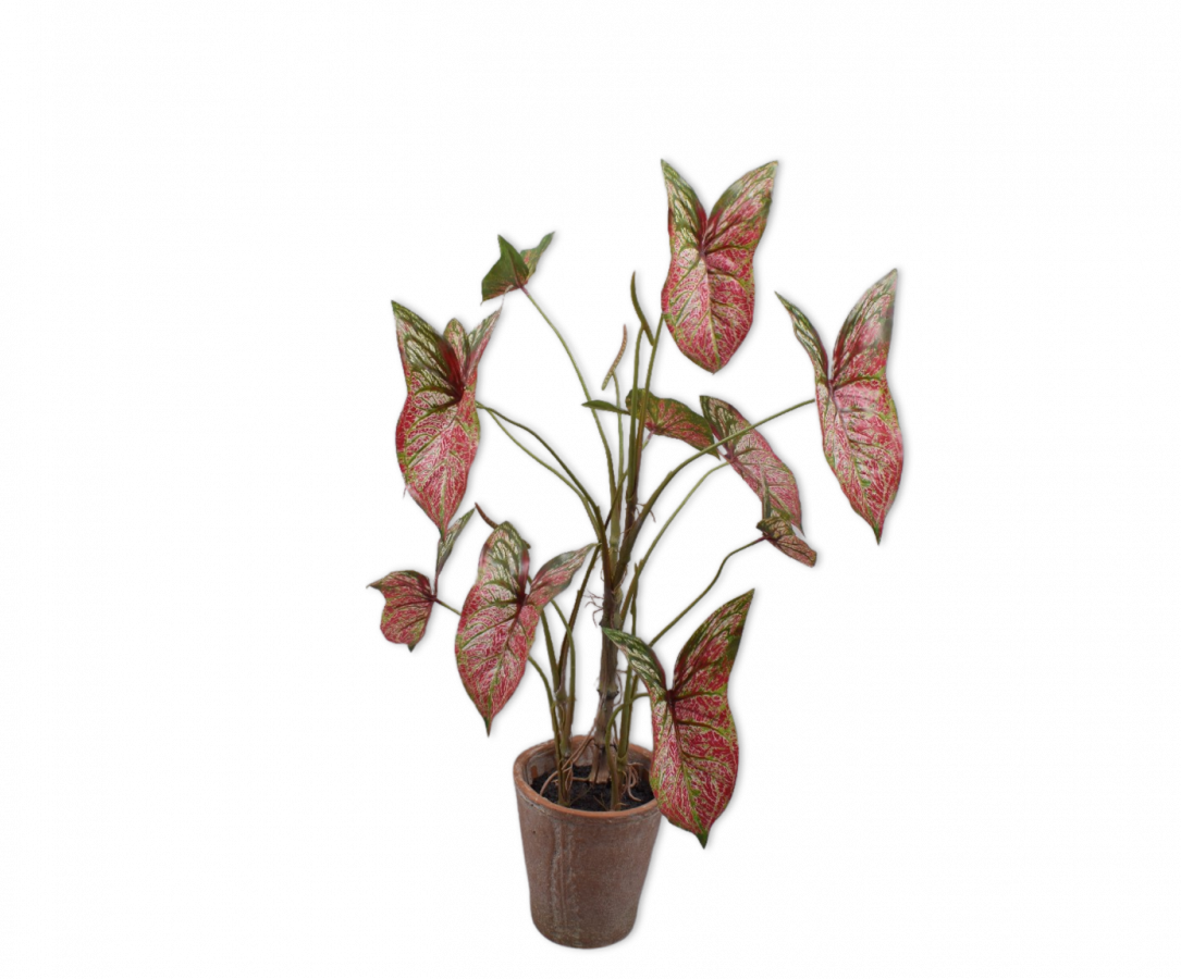 Alocasiaroze - 80cm Silk-ka kunstbloemen en planten Kunstplant Silk-ka-150032