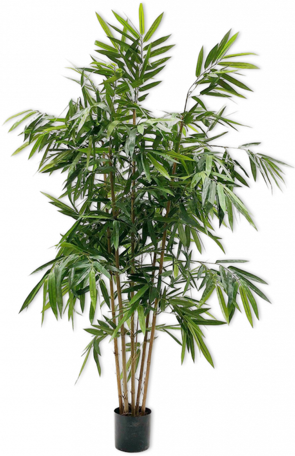 Bamboegroen - 183cm Silk-ka kunstbloemen en planten Kunstplant Silk-ka-122695