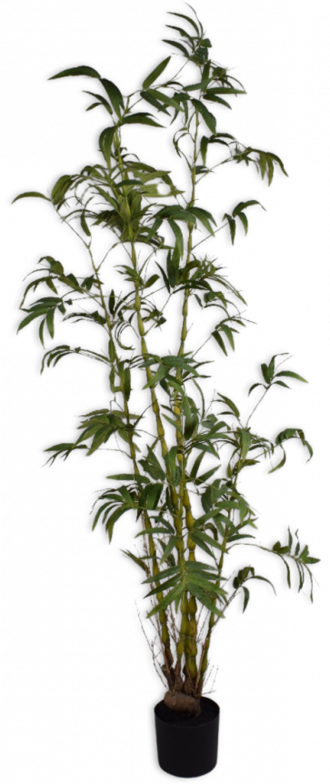 Bamboegroen - 210cm Silk-ka kunstbloemen en planten Kunstplant Silk-ka-144223