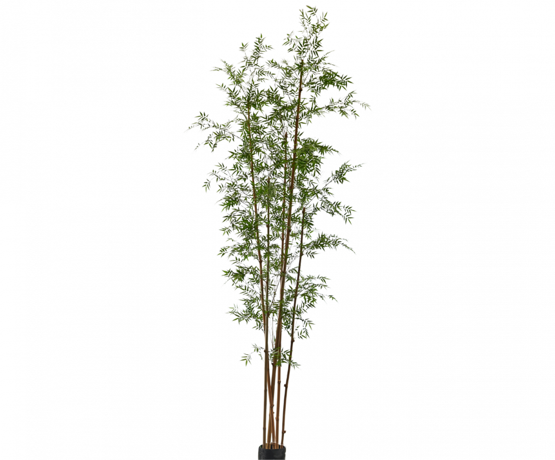 Bamboegroen - 335cm Silk-ka kunstbloemen en planten Kunstplant Silk-ka-150521
