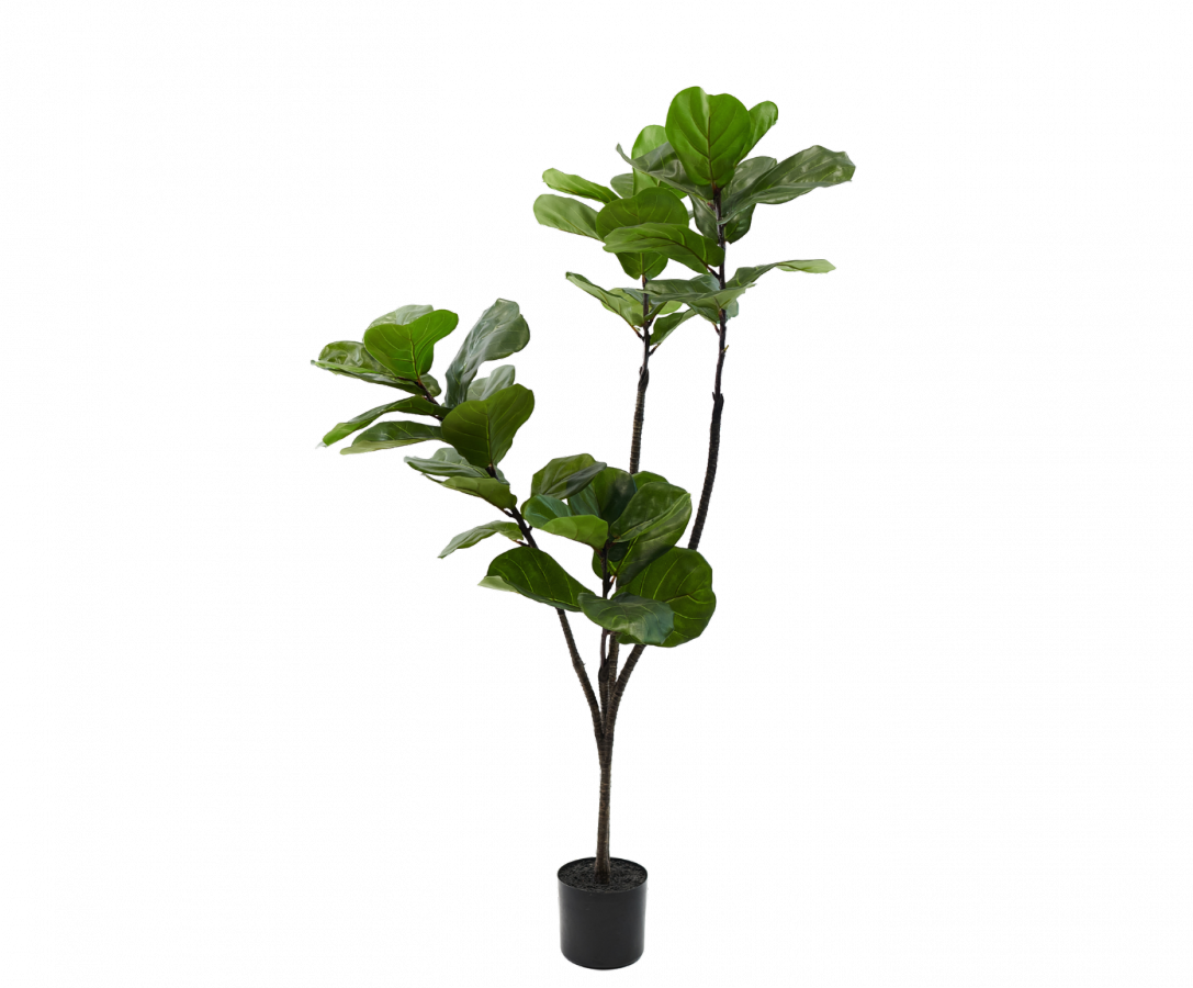 Ficusgroen - 150cm Silk-ka kunstbloemen en planten Kunstplant Silk-ka-150708