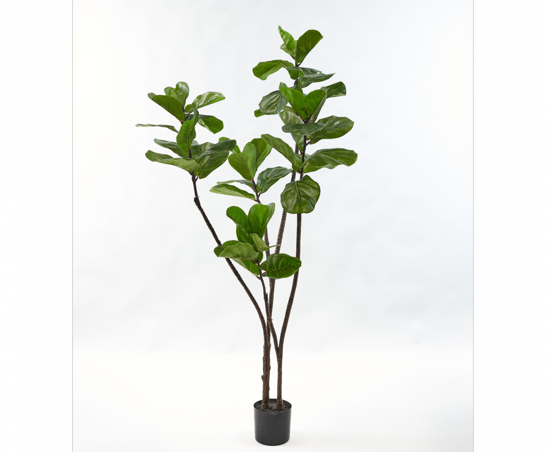 Ficusgroen - 150cm Silk-ka kunstbloemen en planten Kunstplant Silk-ka-150709
