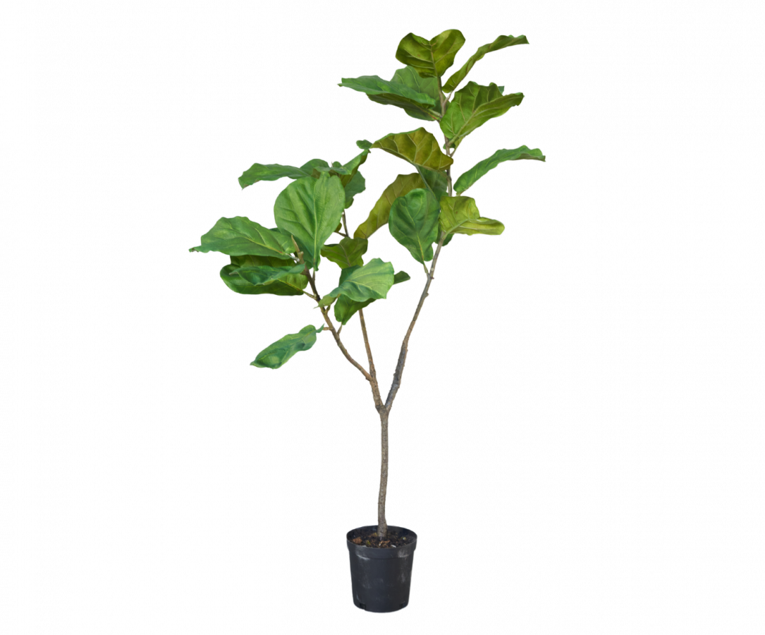 Ficusgroen - 151cm Silk-ka kunstbloemen en planten Kunstplant Silk-ka-145905