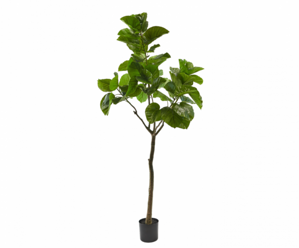 Ficusgroen - 210cm Silk-ka kunstbloemen en planten Kunstplant Silk-ka-150705