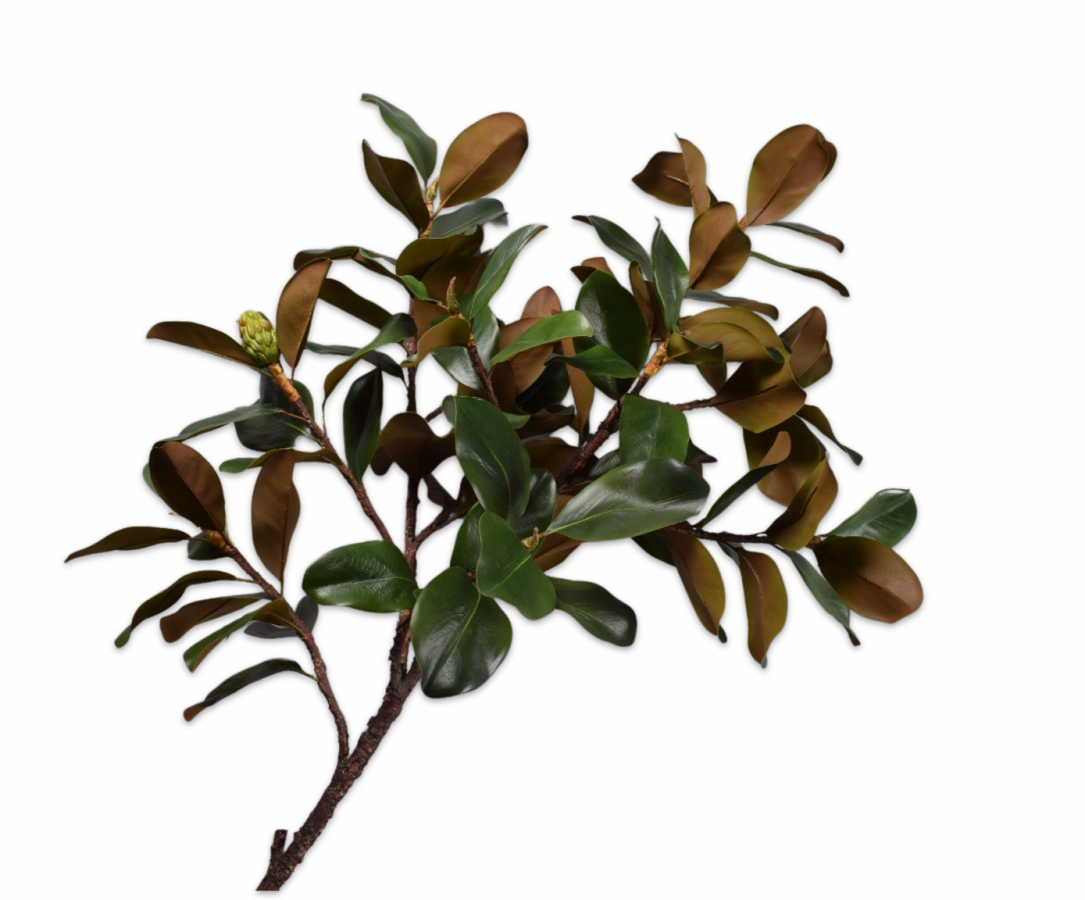 Magnoliatakgrn/mve - 152cm Silk-ka kunstbloemen en planten Kunstbloem Silk-ka-153016