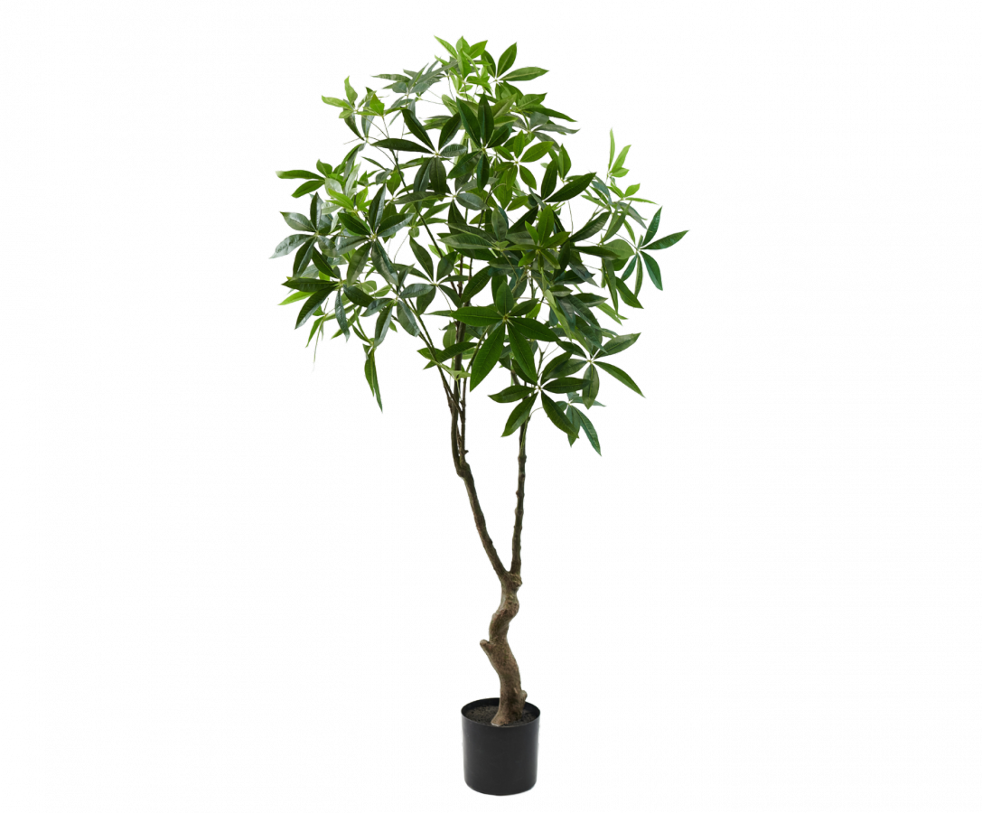 Pachiragroen - 180cm Silk-ka kunstbloemen en planten Kunstplant Silk-ka-150701