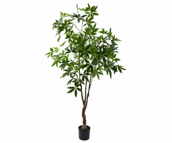 Pachiragroen - 210cm Silk-ka kunstbloemen en planten Kunstplant Silk-ka-150700