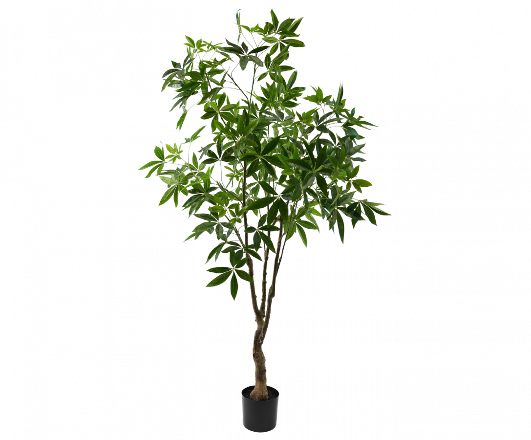Pachiragroen - 210cm Silk-ka kunstbloemen en planten Kunstplant Silk-ka-150700