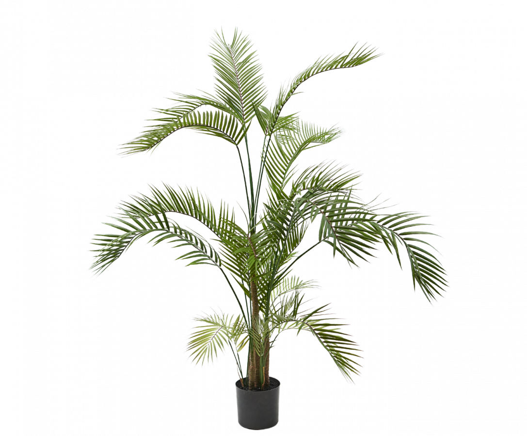 Palmgroen - 150cm Silk-ka kunstbloemen en planten Kunstplant Silk-ka-150712