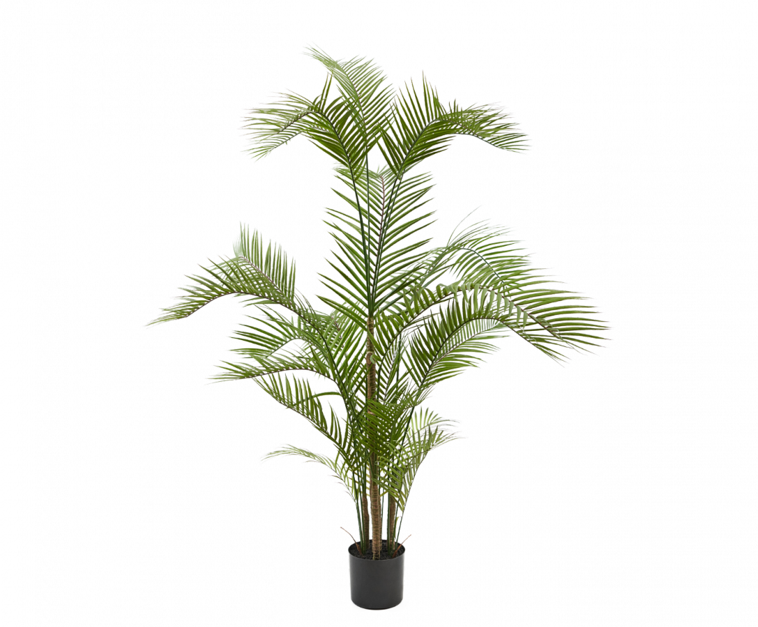 Palmgroen - 180cm Silk-ka kunstbloemen en planten Kunstplant Silk-ka-150713