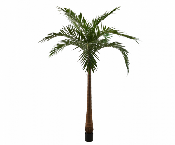 Palmgroen - 213cm Silk-ka kunstbloemen en planten Kunstplant Silk-ka-150503