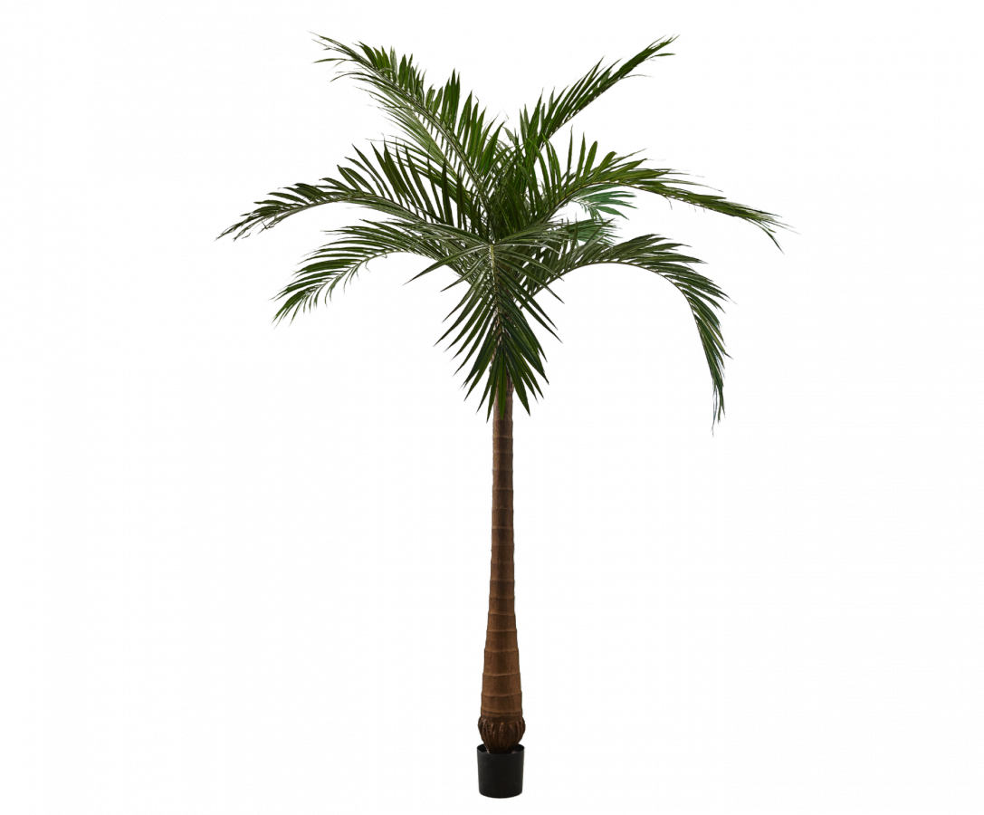 Palmgroen - 213cm Silk-ka kunstbloemen en planten Kunstplant Silk-ka-150503