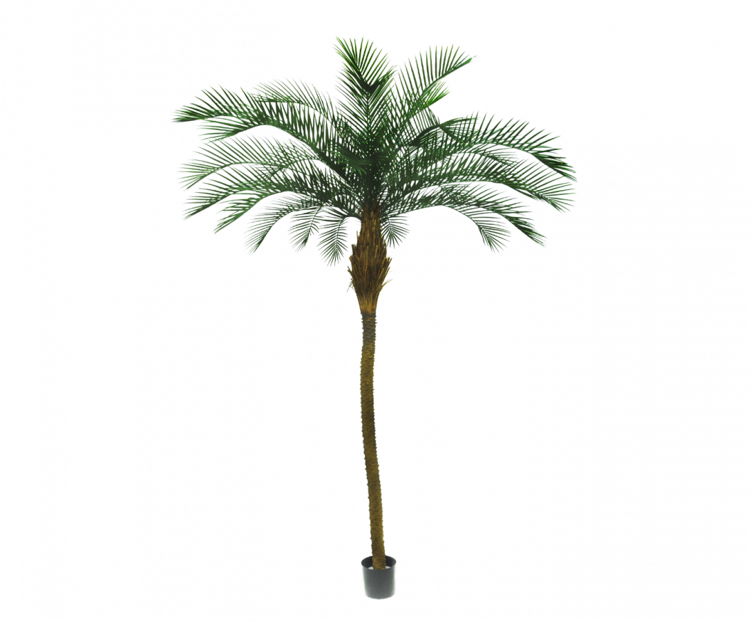 Palmgroen - 213cm Silk-ka kunstbloemen en planten Kunstplant Silk-ka-150508