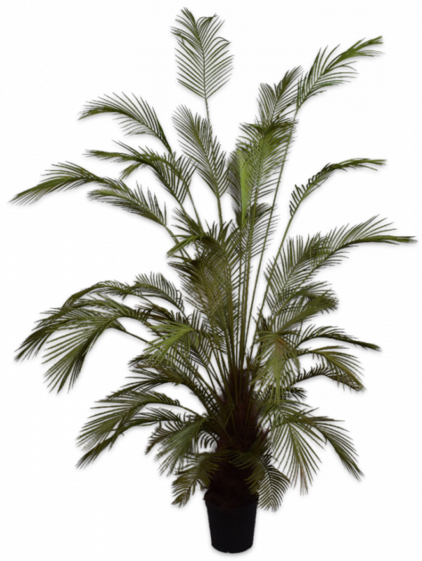 Palmgroen - 230cm Silk-ka kunstbloemen en planten Kunstplant Silk-ka-138357