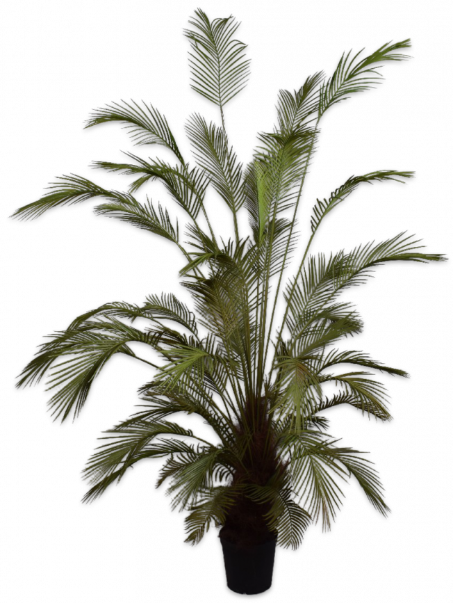 Palmgroen - 230cm Silk-ka kunstbloemen en planten Kunstplant Silk-ka-138357