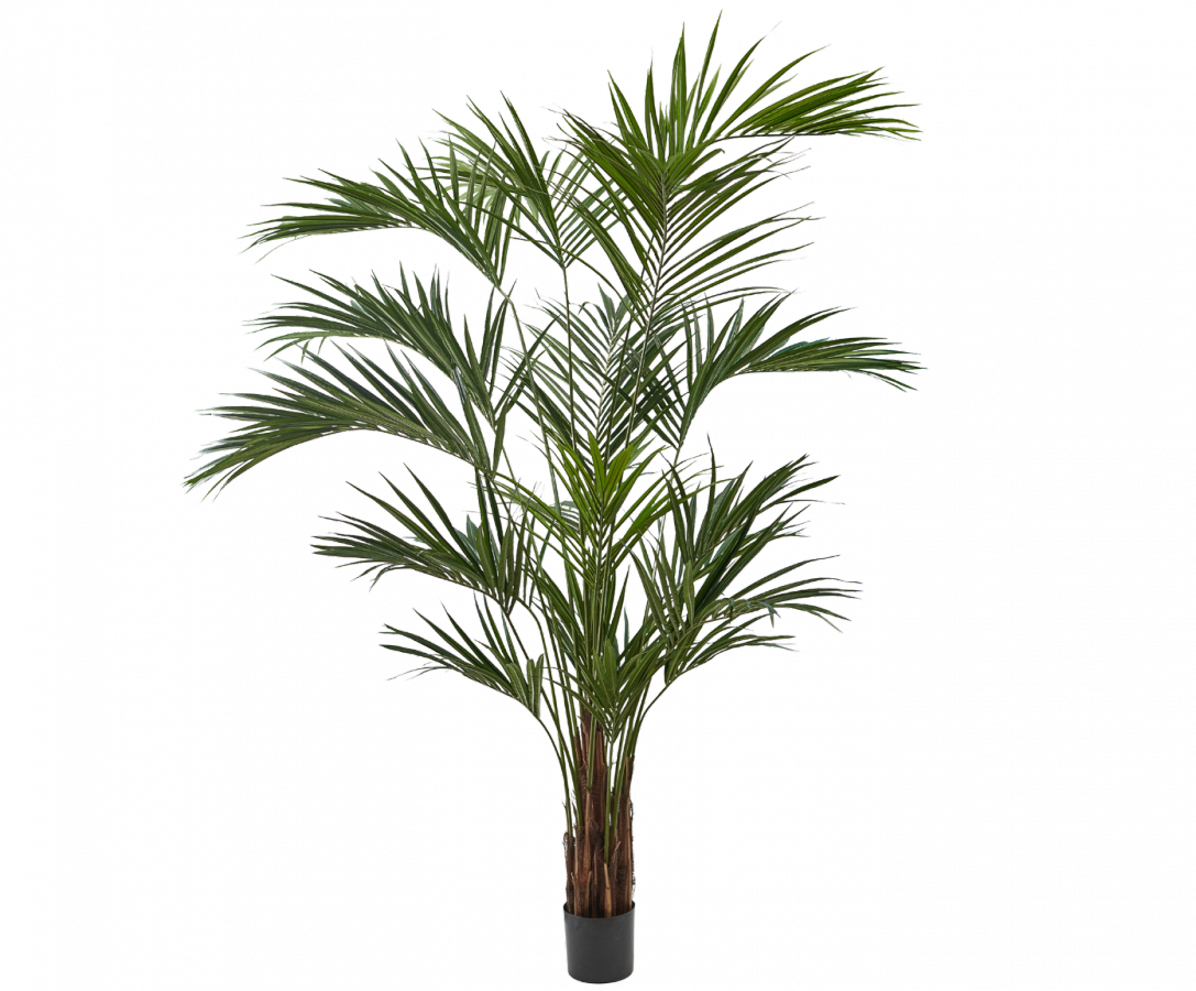 Palmgroen - 250cm Silk-ka kunstbloemen en planten Kunstplant Silk-ka-150504