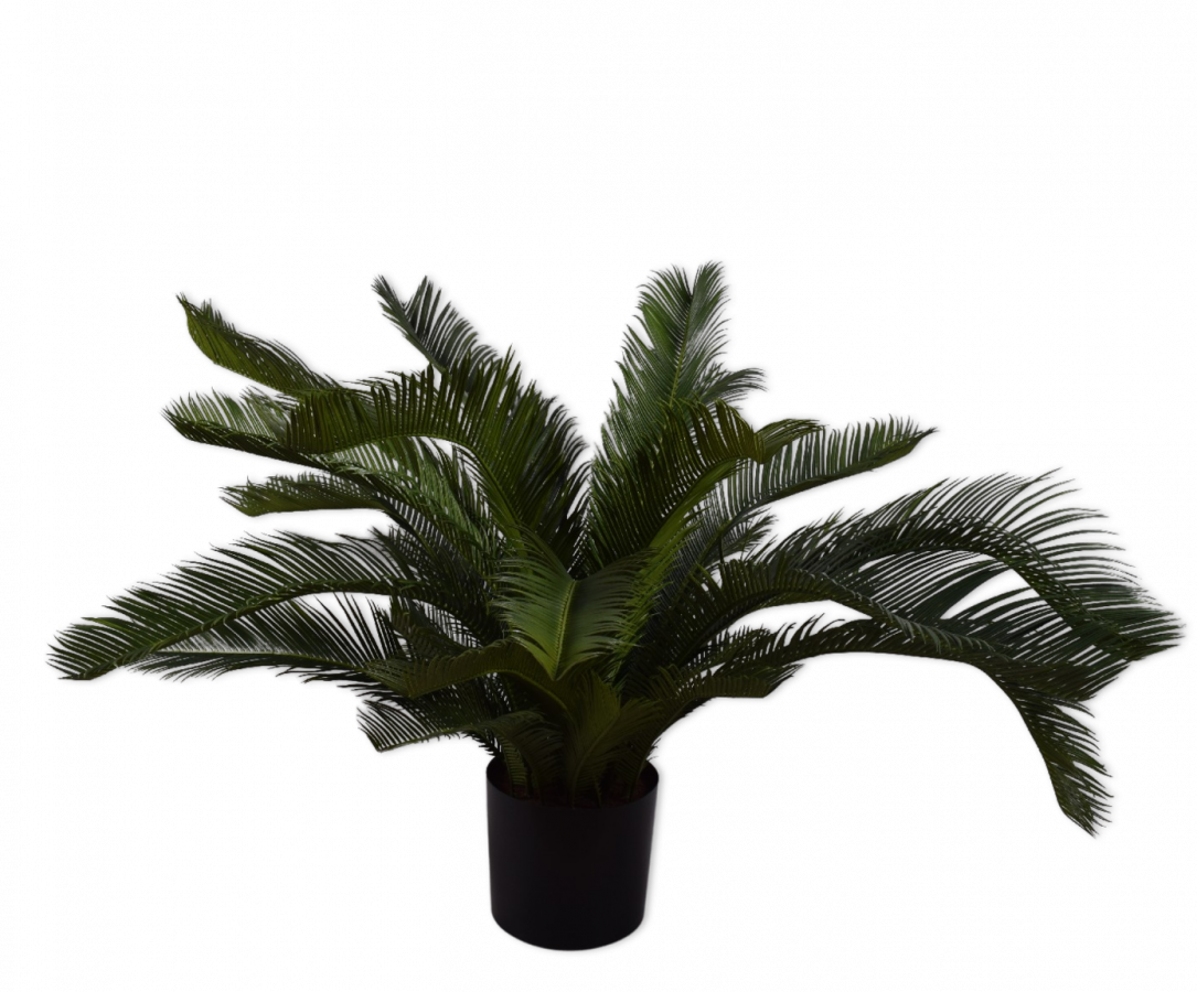 Palmgroen - 80cm Silk-ka kunstbloemen en planten Kunstplant Silk-ka-150517
