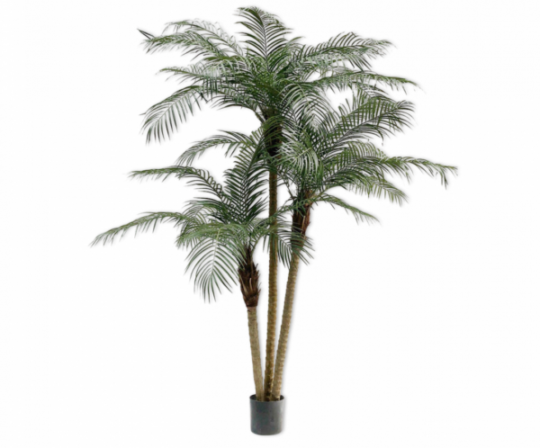 Palmphoenixgroen - 183cm Silk-ka kunstbloemen en planten Kunstplant Silk-ka-134580