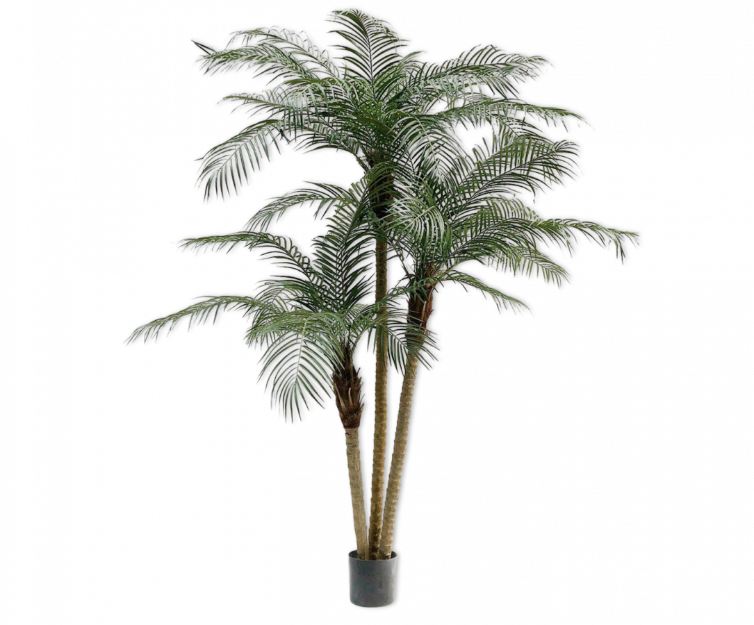 Palmphoenixgroen - 183cm Silk-ka kunstbloemen en planten Kunstplant Silk-ka-134580