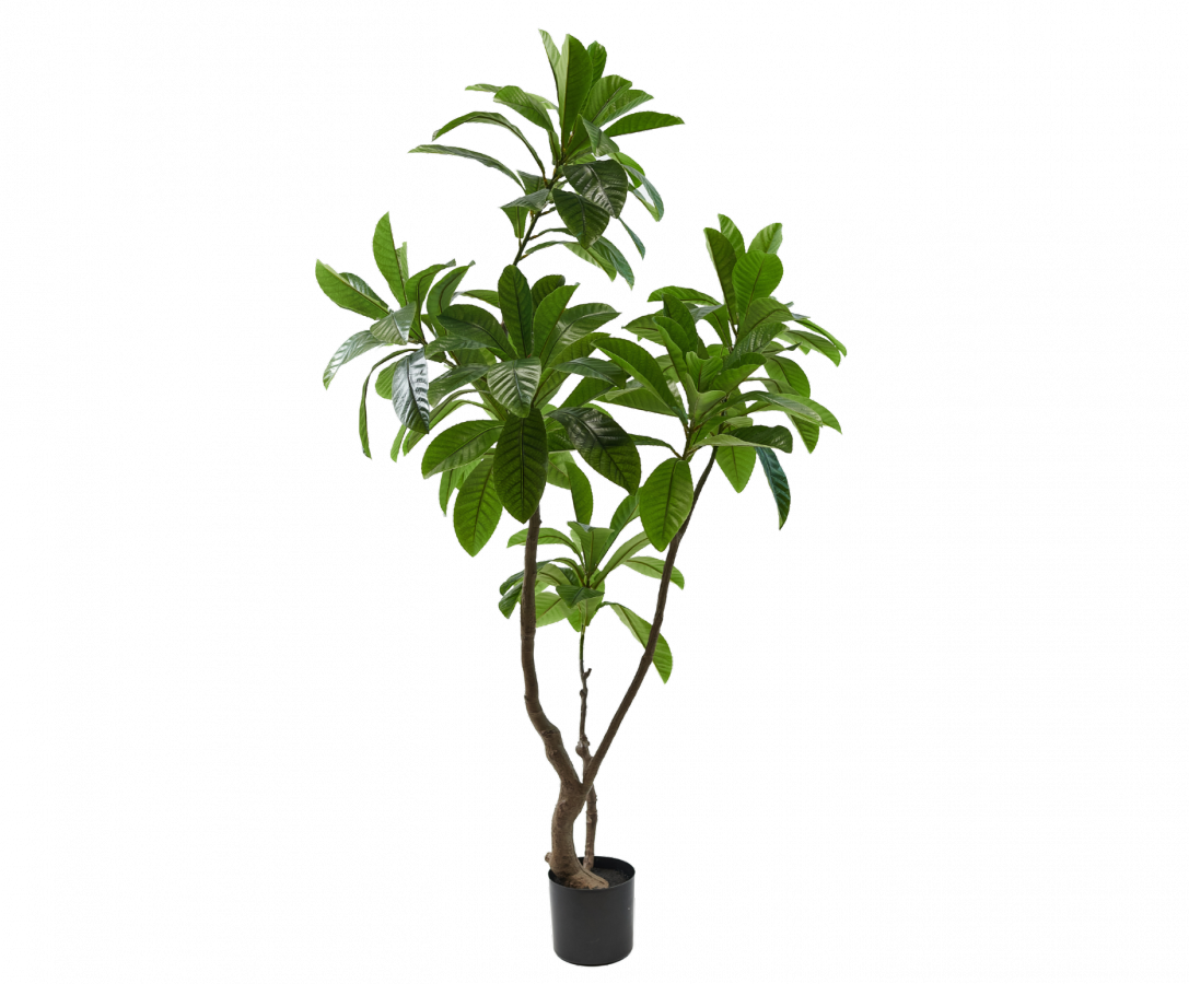 Plantmagnoliagroen - 194cm Silk-ka kunstbloemen en planten Kunstplant Silk-ka-150151