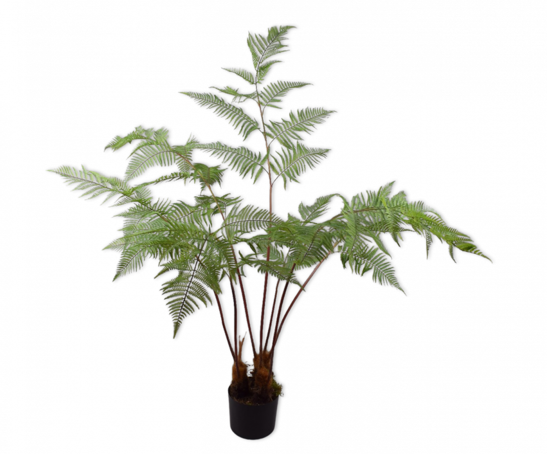 Varengroen - 157cm Silk-ka kunstbloemen en planten Kunstplant Silk-ka-144798