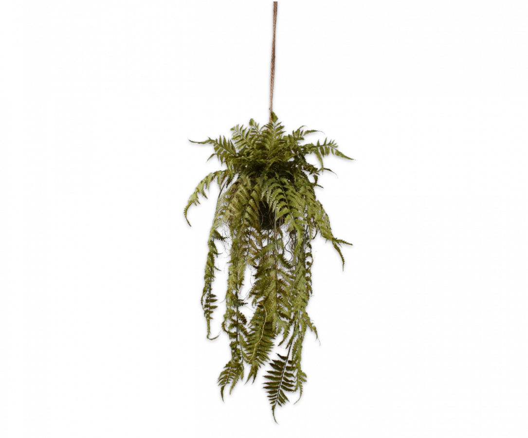 Varenhanggroen - 115cm Silk-ka kunstbloemen en planten Kunstplant Silk-ka-150665