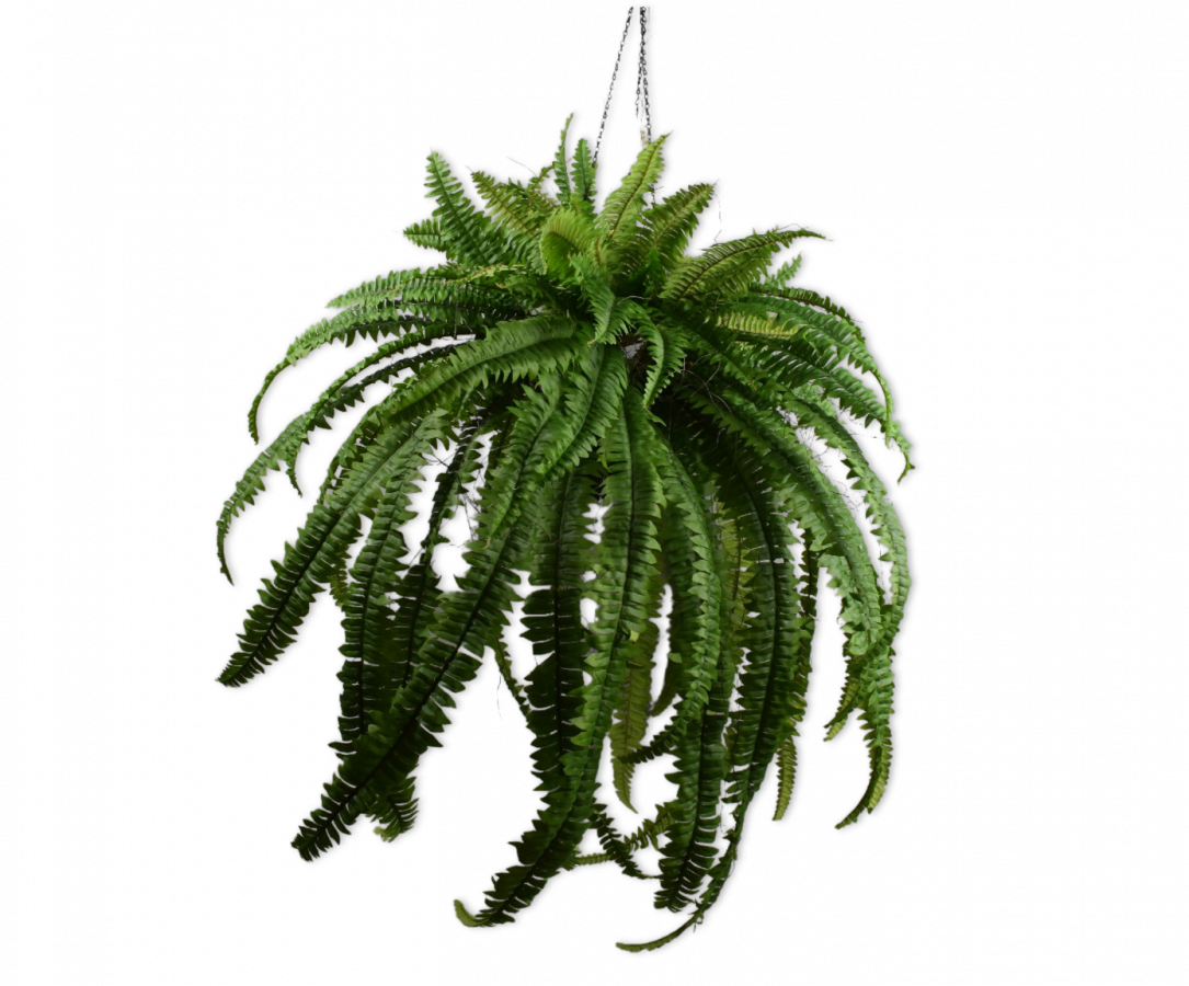 Varenhanggroen - 127cm Silk-ka kunstbloemen en planten Kunstplant Silk-ka-147742