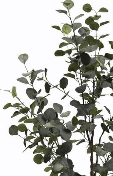 COCO maison Eucalyptus Tree kunstplant H140cm Groen Kunstplant