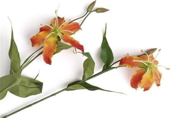 COCO maison Gloriosa Spray kunstbloem H90cm Oranje Kunstbloem