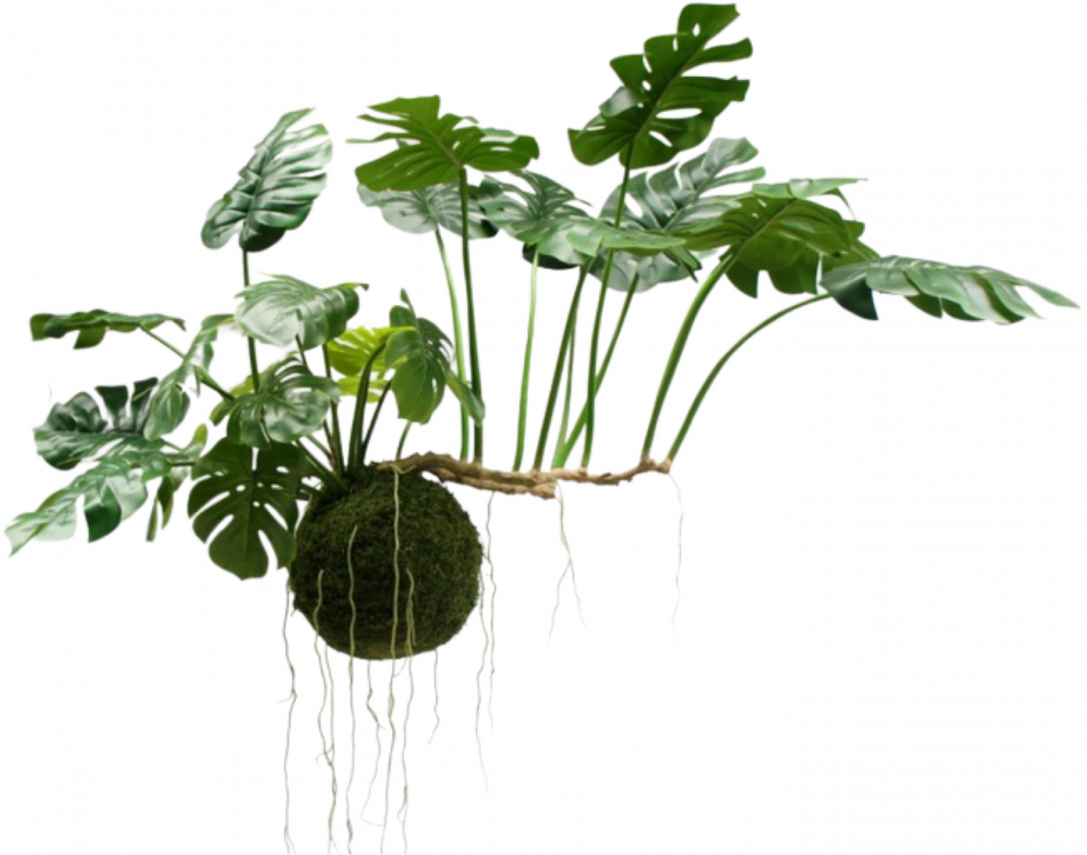 Monsterahanggroen - 80cm Silk-ka kunstbloemen en planten Kunstplant Silk-ka-141438
